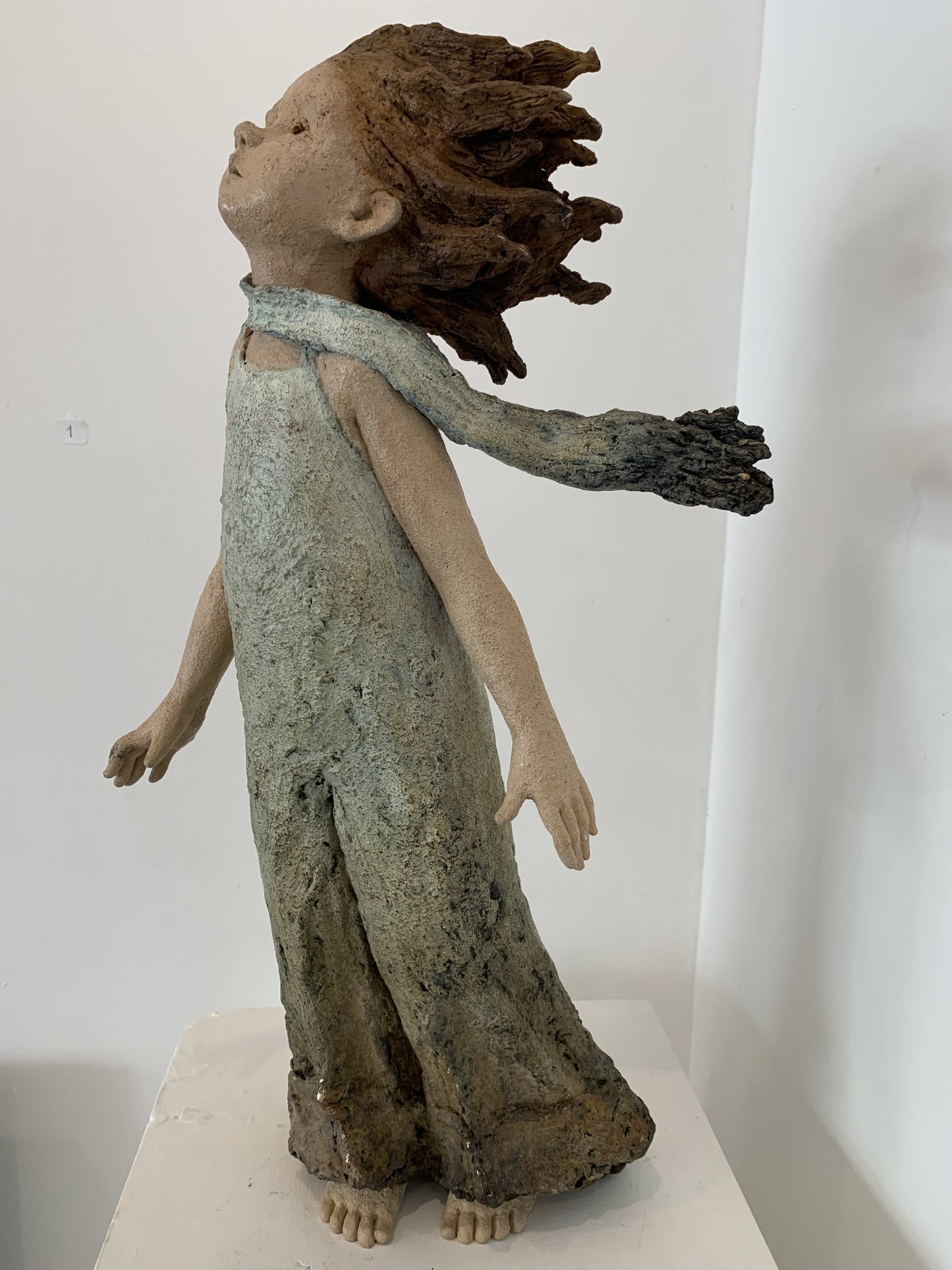 Étoile filante - Galerie de Juliette