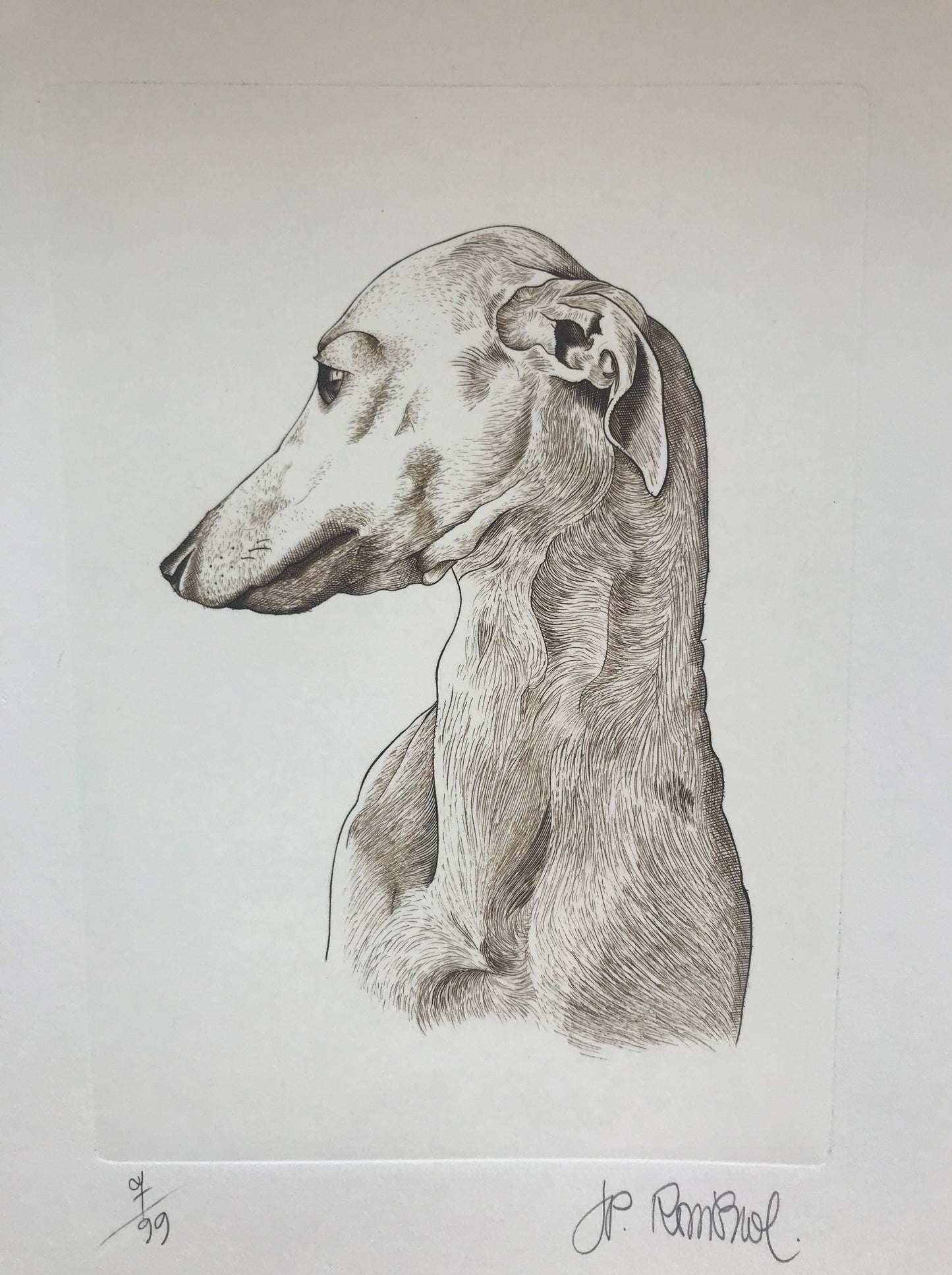 Buste de lévrier - Galerie de Juliette