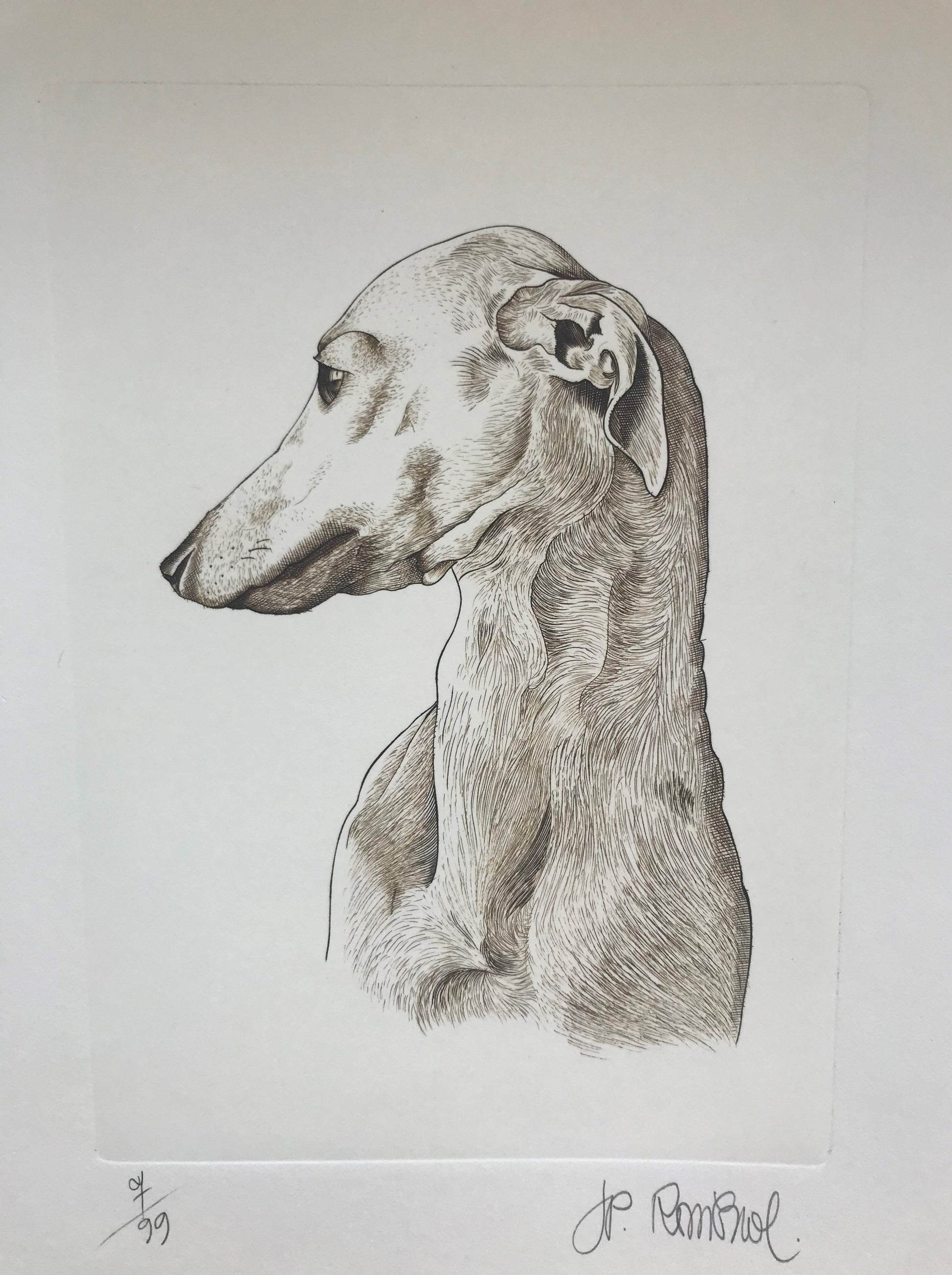 Buste de lévrier - Galerie de Juliette