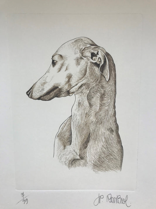 Buste de lévrier - Galerie de Juliette