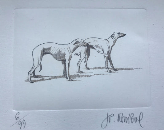 Couple de lévriers - Galerie de Juliette