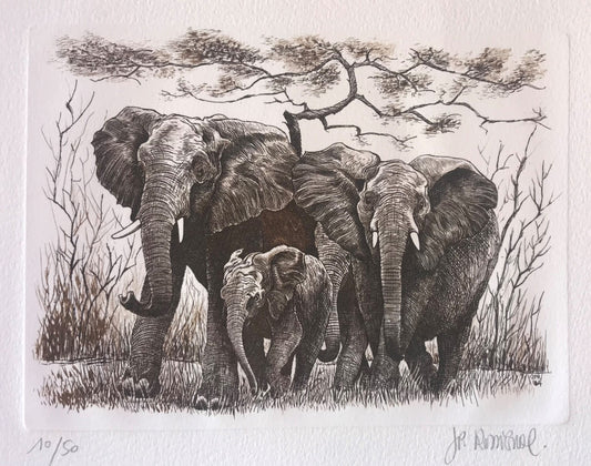 Eléphants - Galerie de Juliette