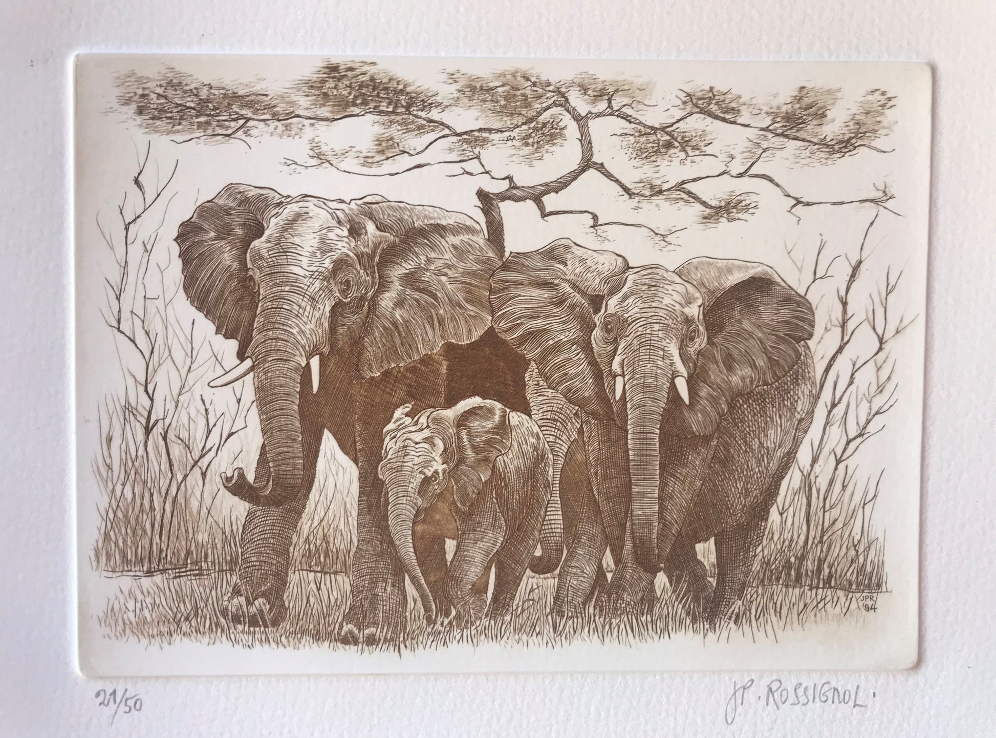 Eléphants - Galerie de Juliette