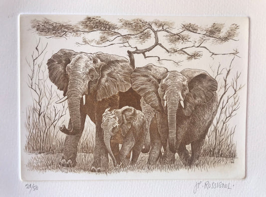 Eléphants - Galerie de Juliette