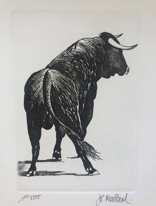 Toro - Galerie de Juliette