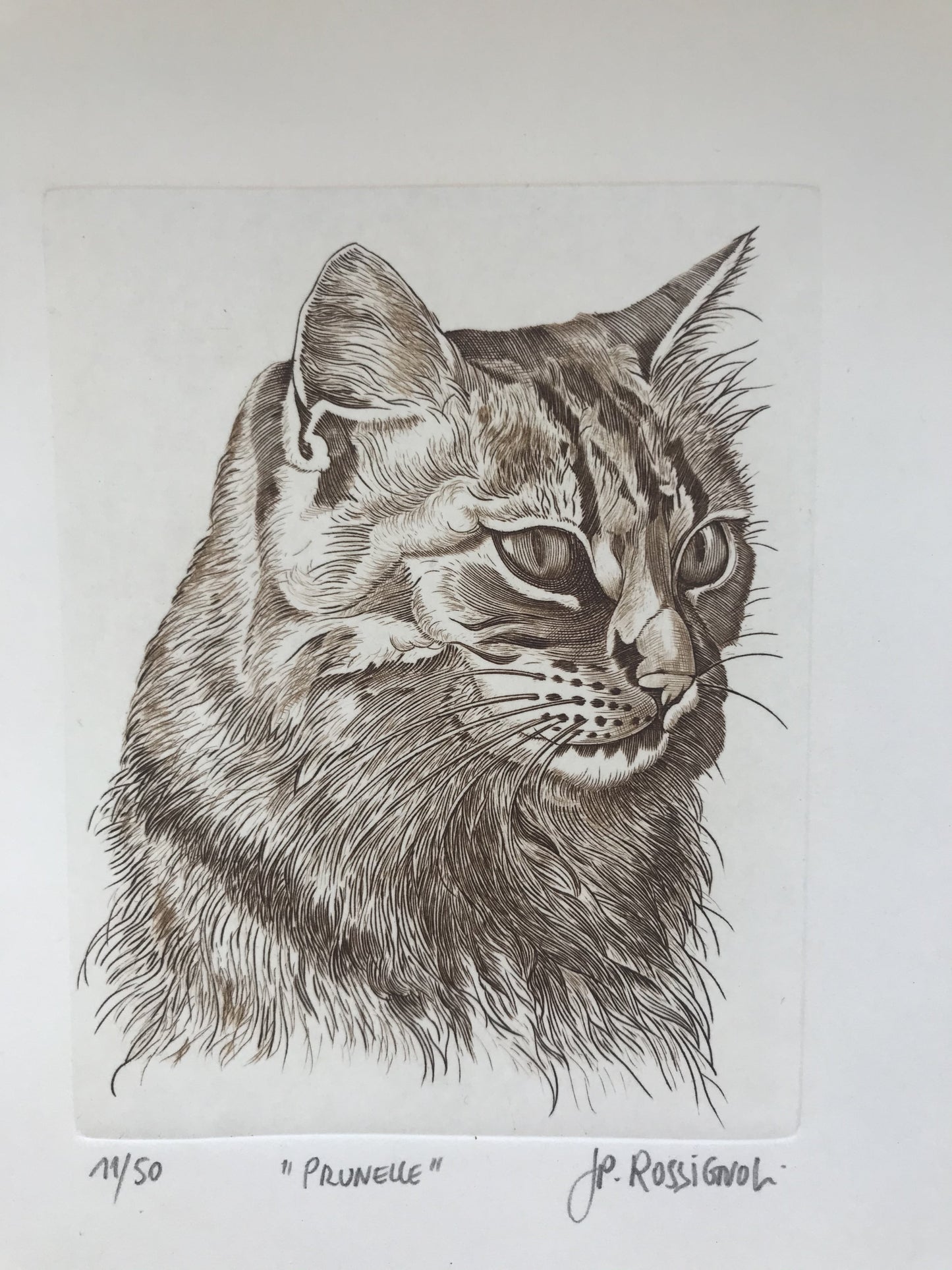 Prunelle - Galerie de Juliette