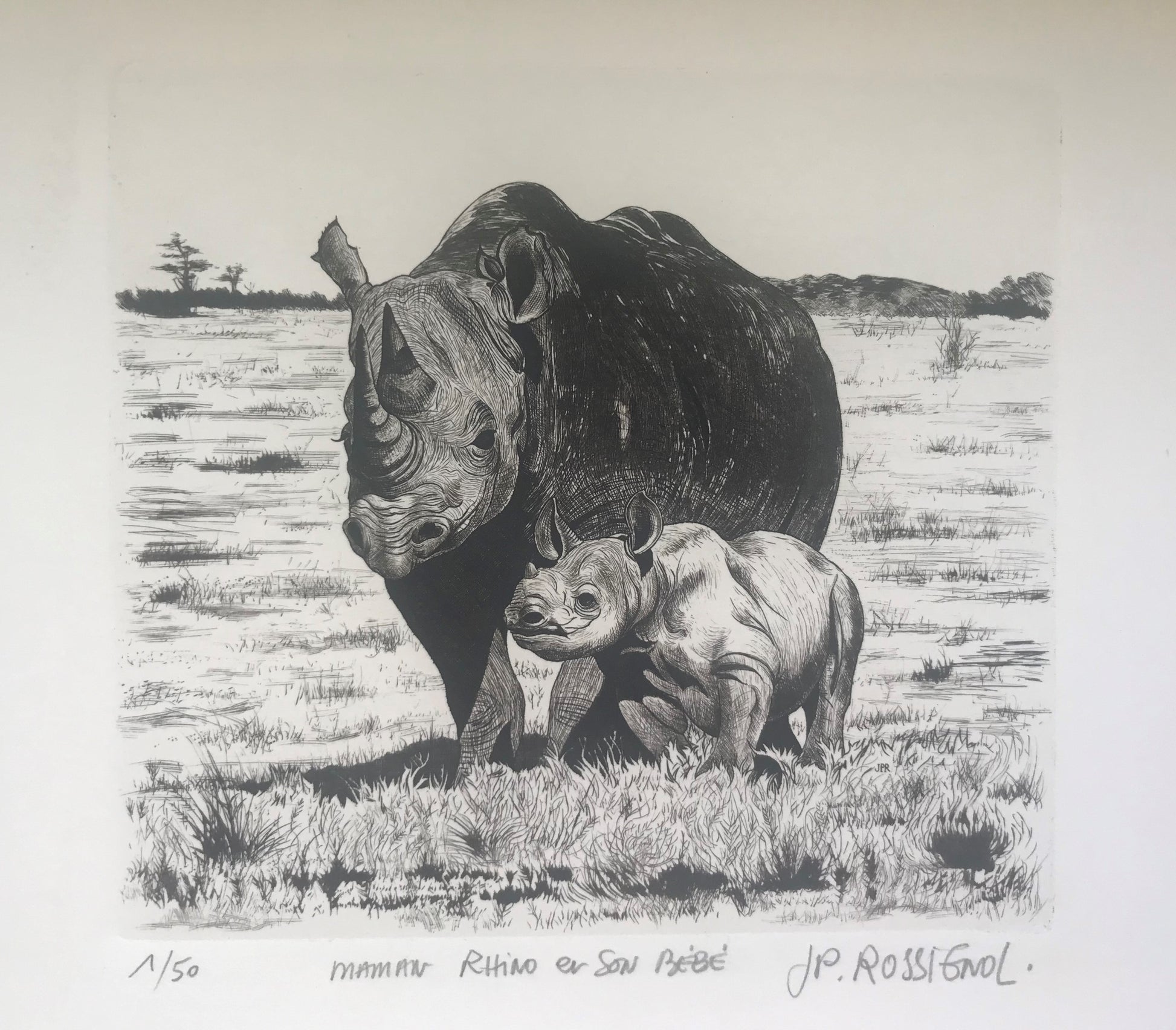 Rhino et son bébé - Galerie de Juliette