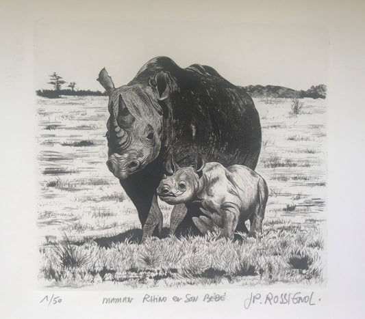 Rhino et son bébé - Galerie de Juliette
