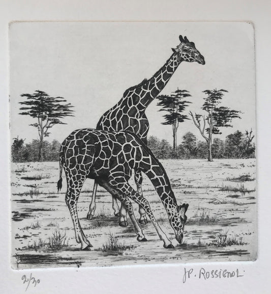 Girafes - Galerie de Juliette