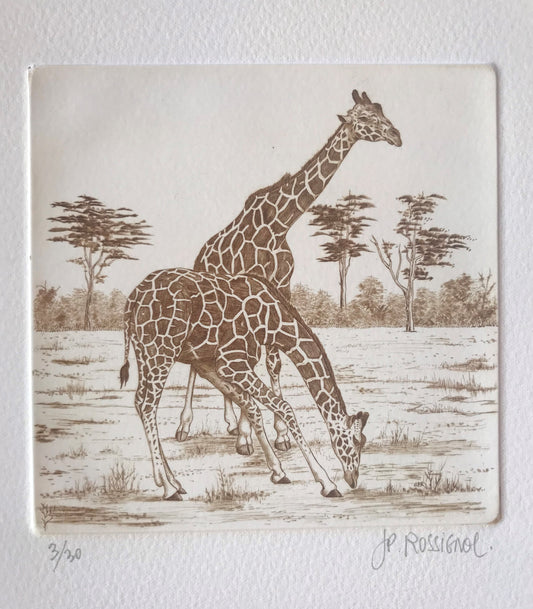 Girafes - Galerie de Juliette