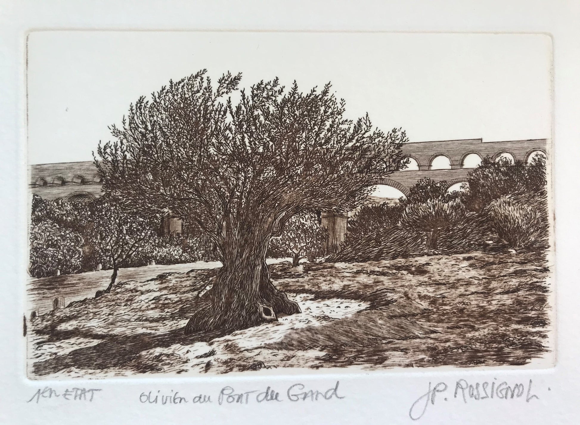 Olivier au Pont du Gard - Galerie de Juliette