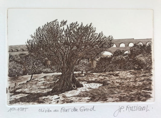 Olivier au Pont du Gard - Galerie de Juliette