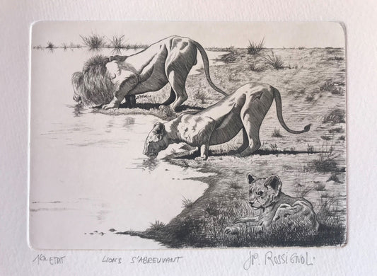 Lions s'abreuvant - Galerie de Juliette
