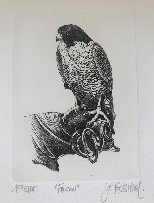 Faucon - Galerie de Juliette