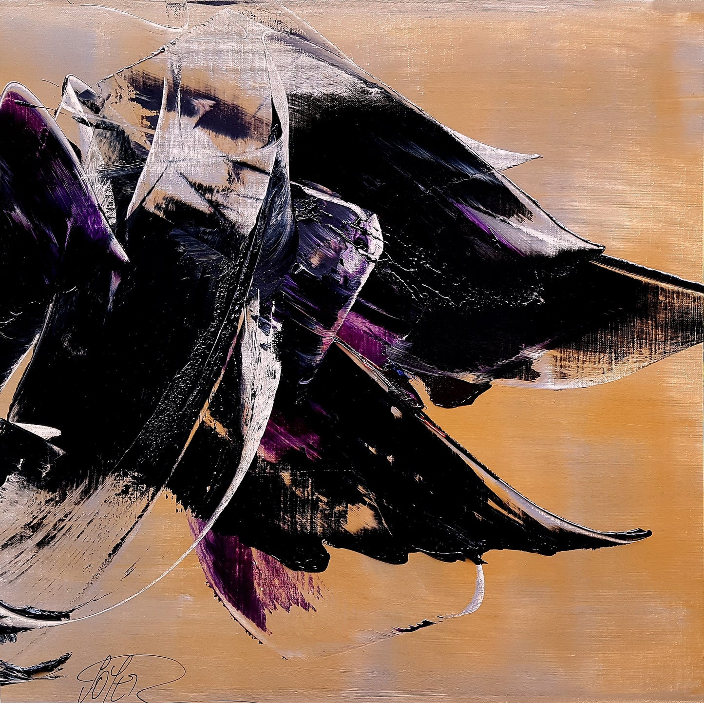 S47 - Galerie de Juliette