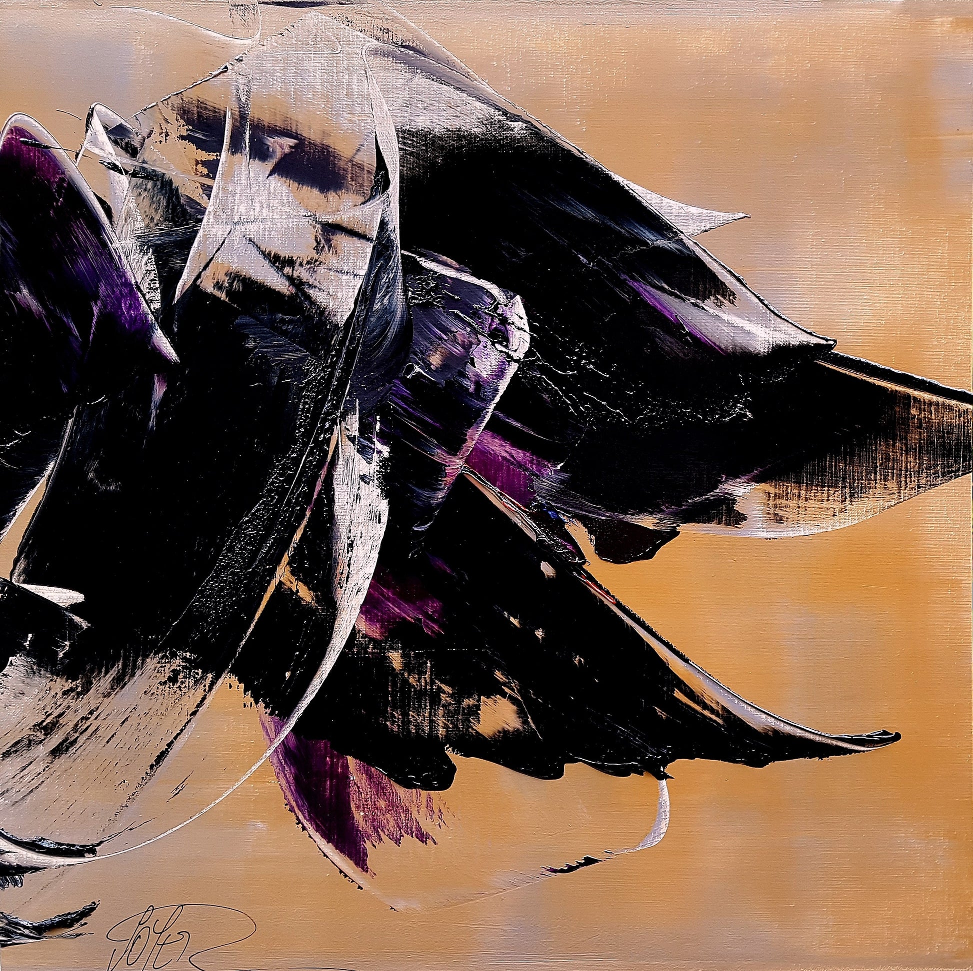 S47 - Galerie de Juliette