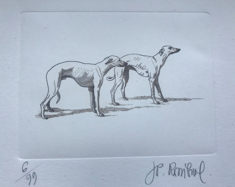 Couple de lévriers - Galerie de Juliette