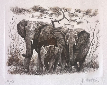 Eléphants - Galerie de Juliette