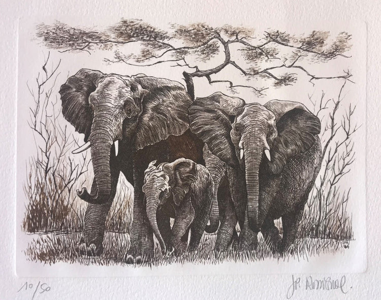 Eléphants - Galerie de Juliette