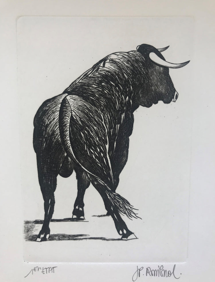 Toro - Galerie de Juliette