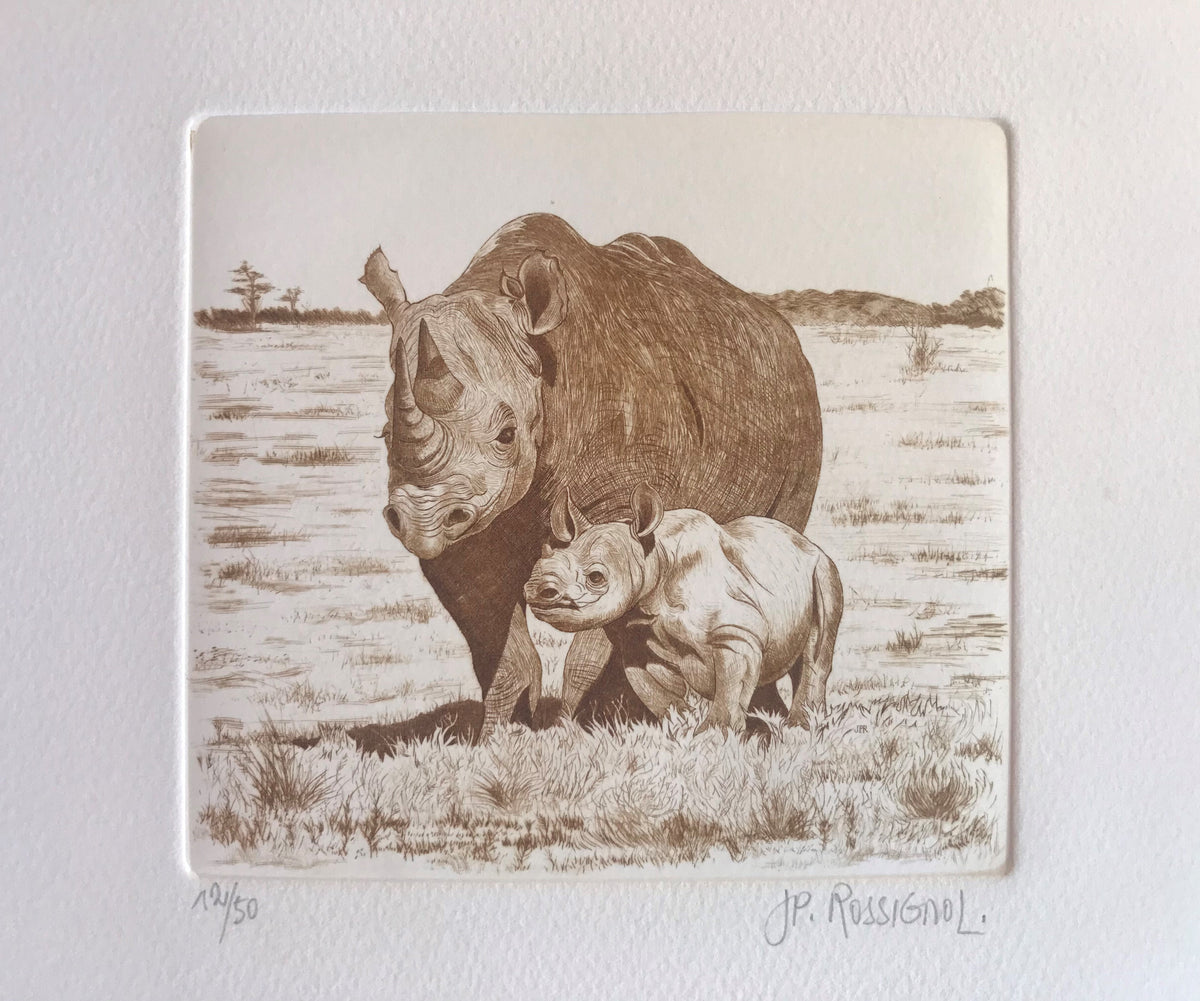 Rhino et son bébé - Galerie de Juliette