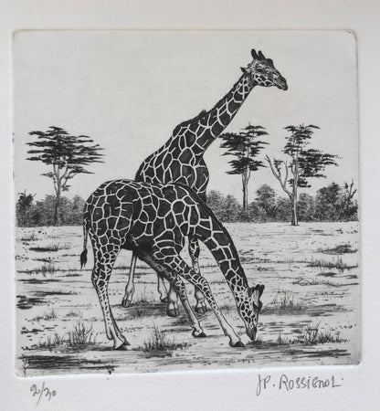 Girafes - Galerie de Juliette