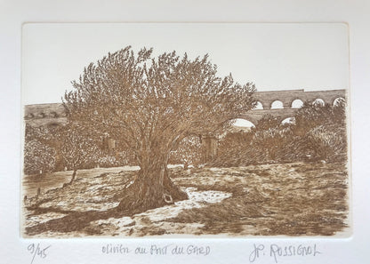 Olivier au Pont du Gard - Galerie de Juliette